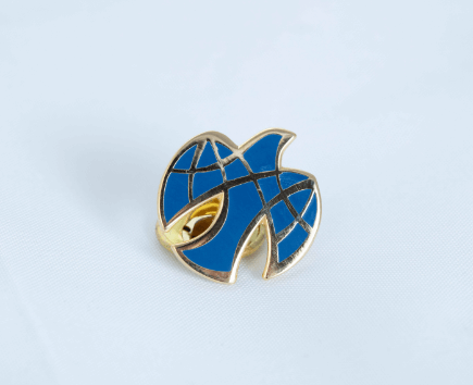 AYP Supporter Pin