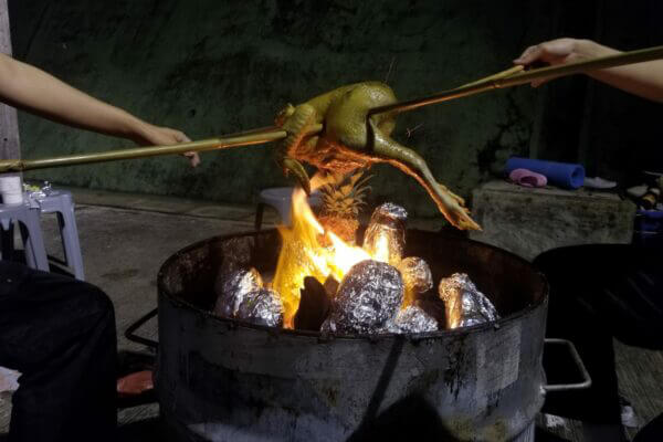Wild cook Wild cook